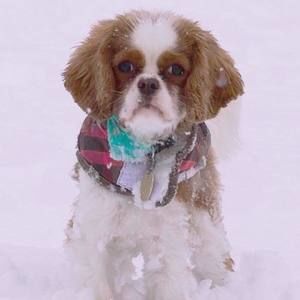 Meet your Posher, Julia